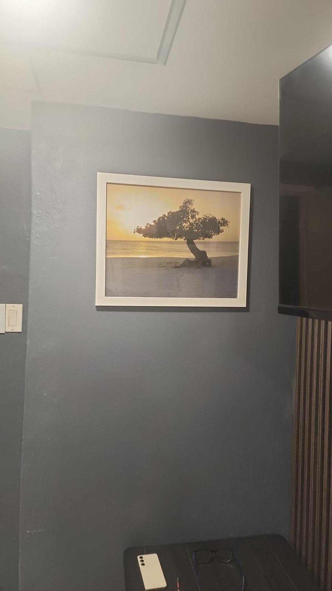 A1 Apartments Aruba Oranjestad Rom bilde